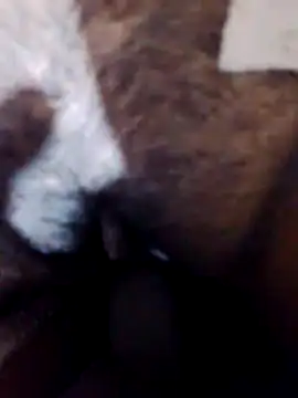 sexysexylaky webcam