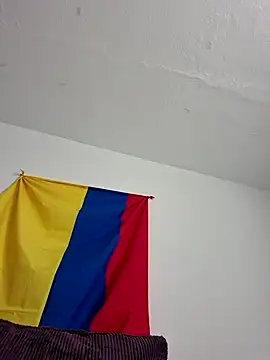 IrisBound webcam