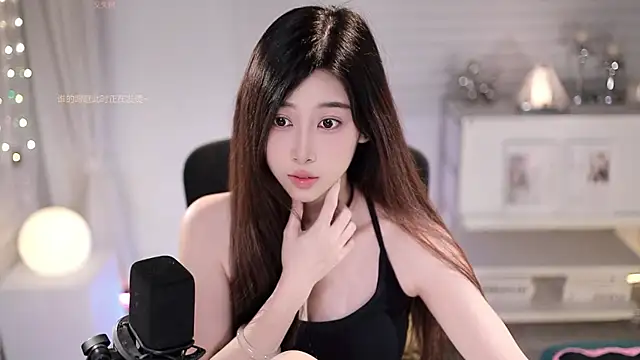 SleepArtist webcam