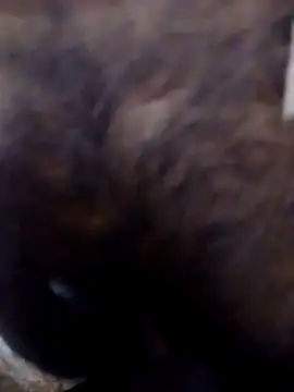 sexysexylaky webcam