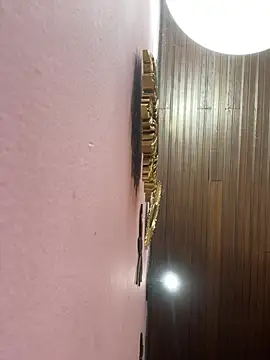 PamelaJonsom_ webcam