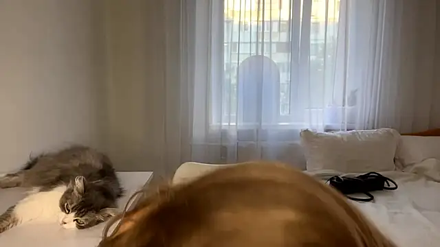 Adrll_Cute webcam