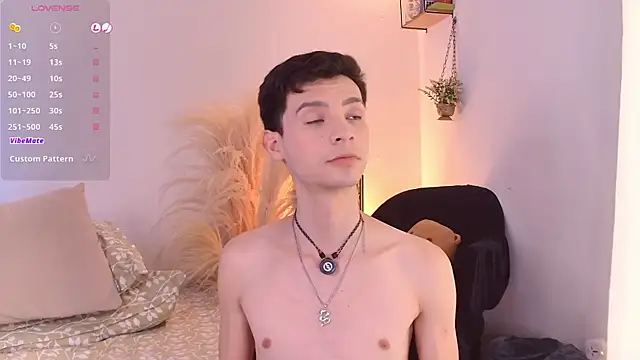 VicenteFerrer webcam