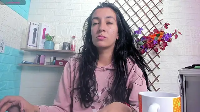 SALOME_KORLAND webcam