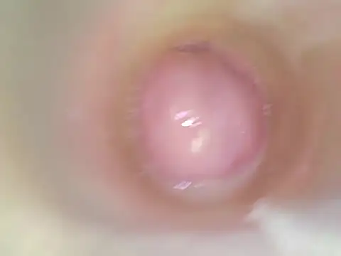 karol_stom webcam
