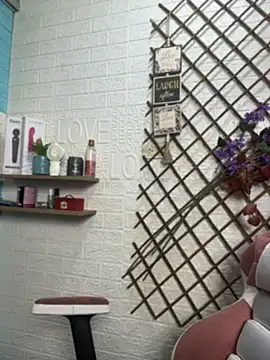 SALOME_KORLAND webcam