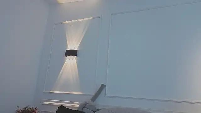valeriavg webcam