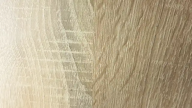 NoFace_Model webcam