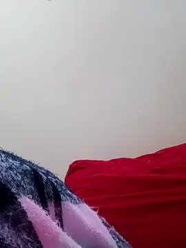molymeneses webcam