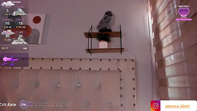 Atenea_Klett_ webcam
