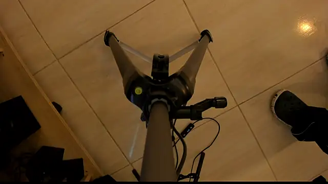 ChaeyounngDae webcam