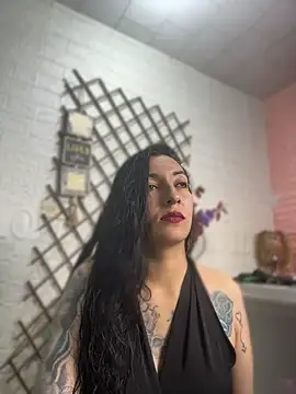 SALOME_KORLAND webcam
