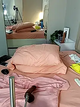 Liastarkk webcam