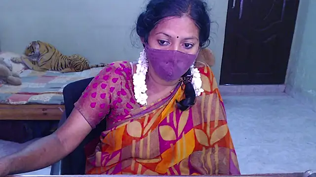 Novapol11 webcam