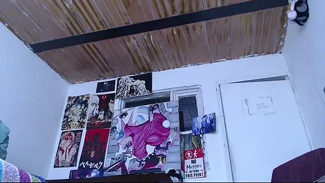 Cortana2_0 webcam