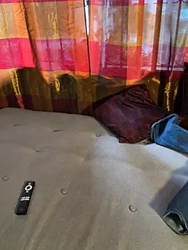 MILA_VOSSX webcam
