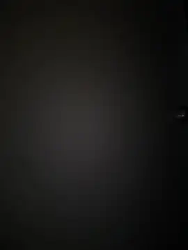 Sasha-firee webcam