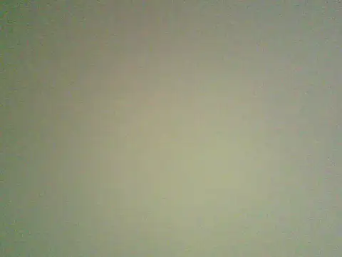 Yalamania webcam