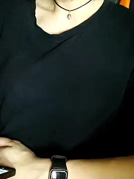 Aashikalaa webcam