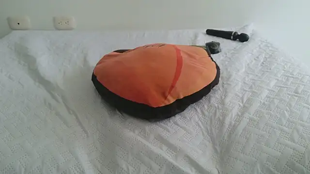 grey___27 webcam