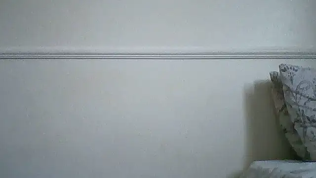 sue_safads webcam