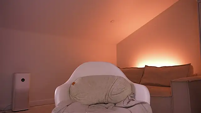 Lilevame webcam