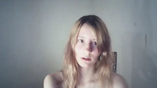 SinaPalmeter webcam