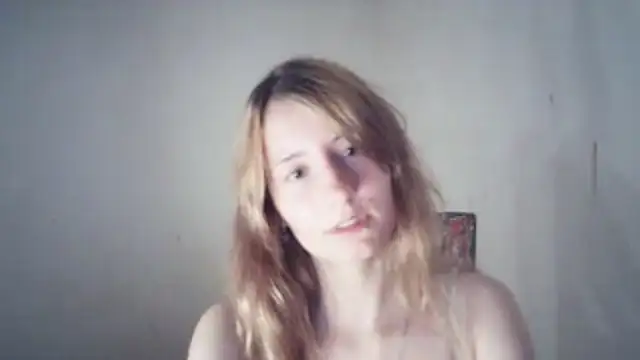 SinaPalmeter webcam