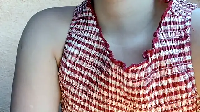 3littles webcam