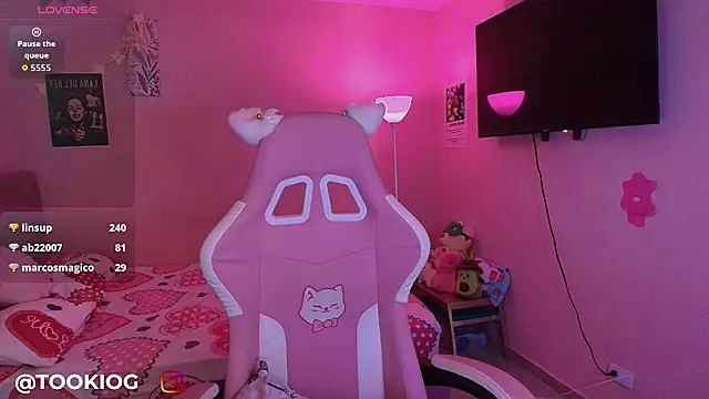 TOOKIOG_ webcam