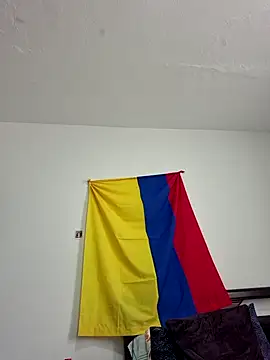 IrisBound webcam