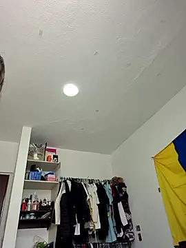 IrisBound webcam