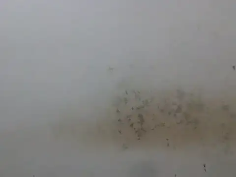 Ijus12 live sex cam