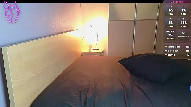 Brightsstar webcam