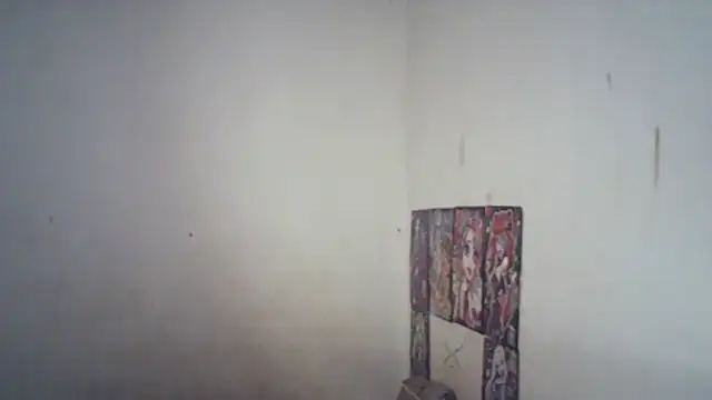 SinaPalmeter webcam