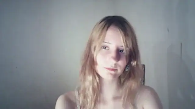 SinaPalmeter webcam