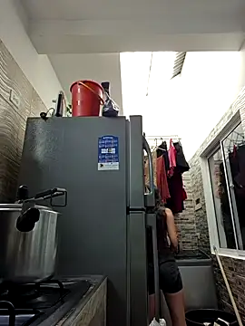 IrisBound webcam