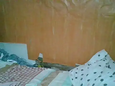 xxLIY webcam