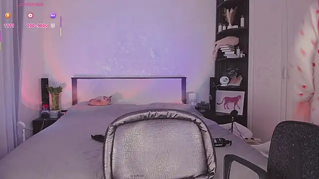 softnoire webcam