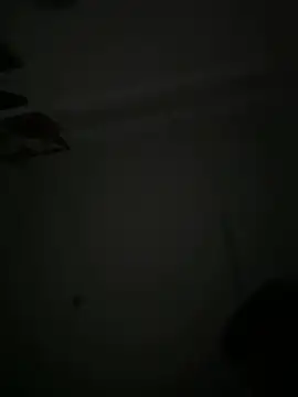 9Dragon9 webcam