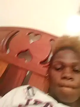meshje webcam