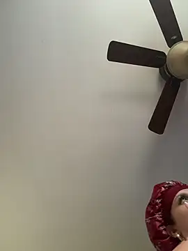 QueenNuttCollector webcam