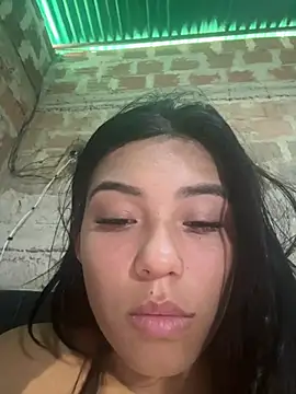 Ceninth webcam