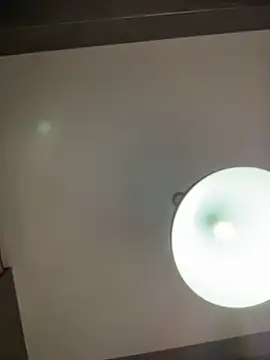 Andrestarr webcam