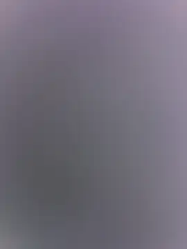 piggylatino webcam