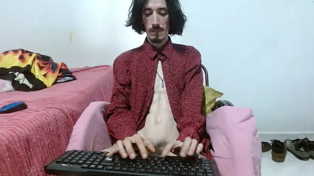 sk8-sir webcam