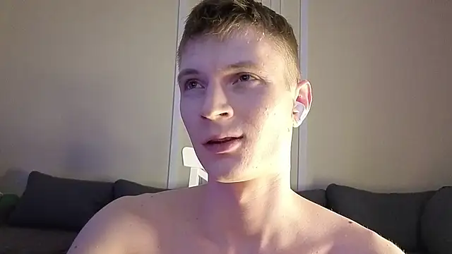 viksons webcam