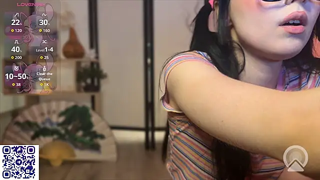 secrettape webcam