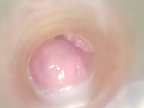 karol_stom webcam