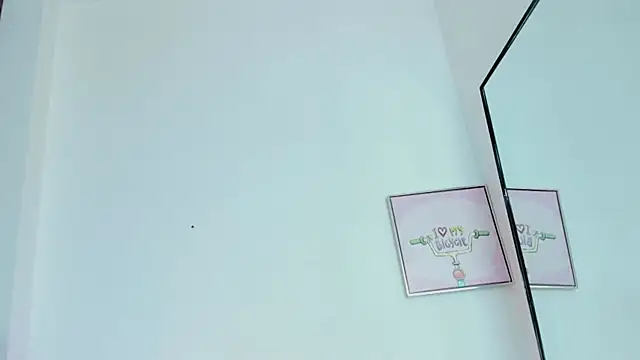 miaapril webcam